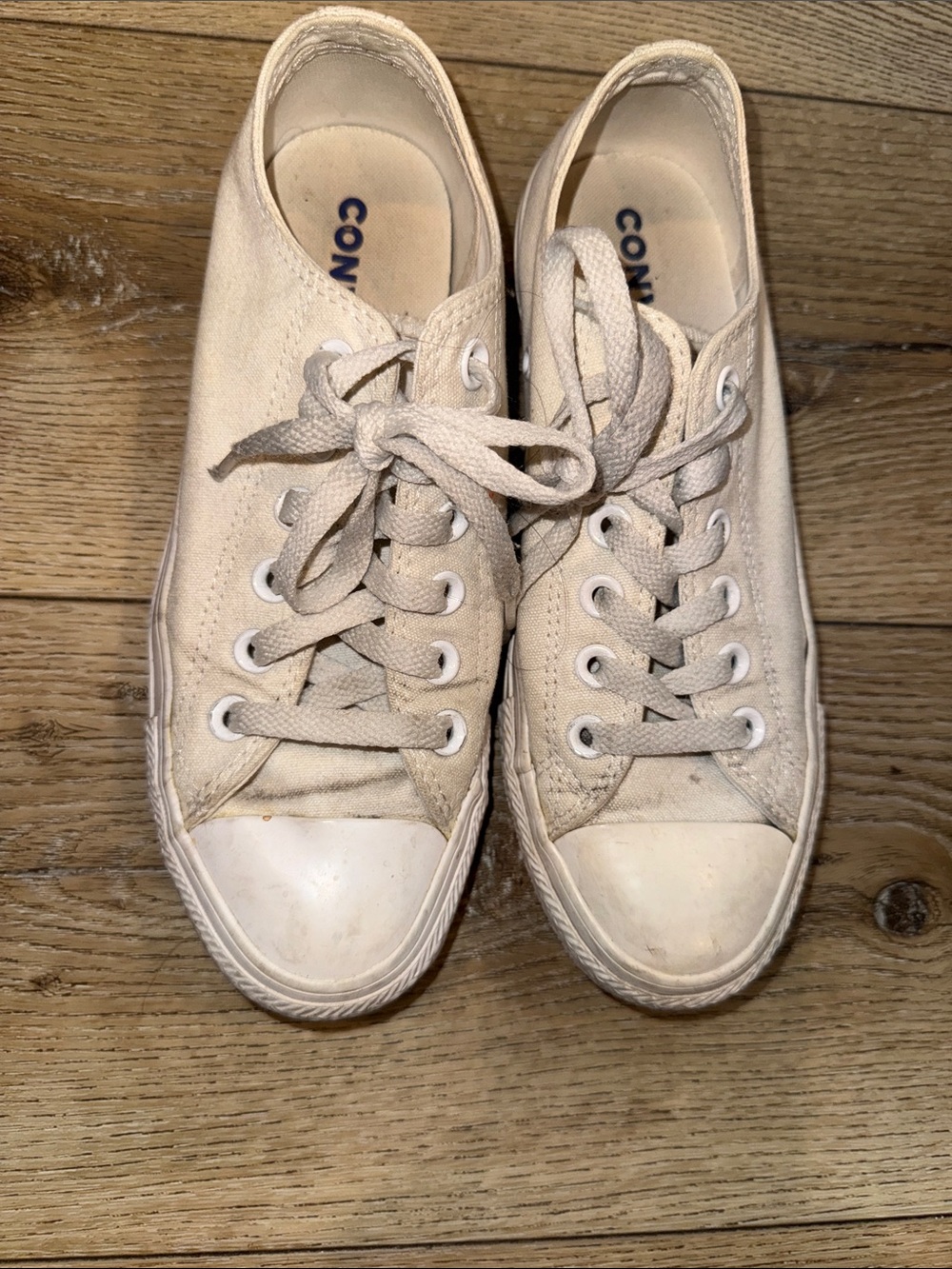 Converse Sneakers